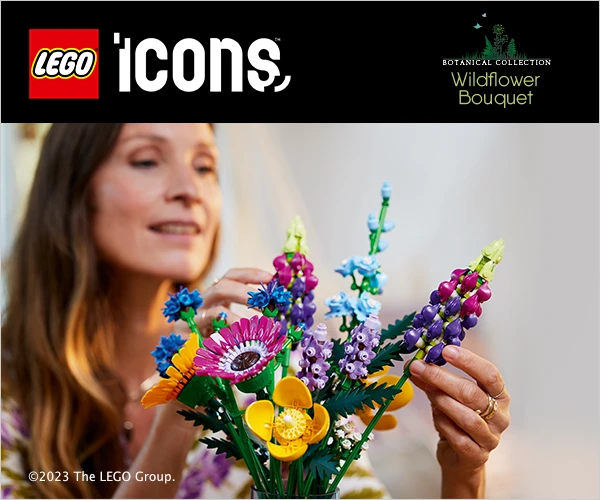 LEGO Icons Bausets bei Spielzeugwelten.de