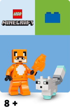 LEGO Minecraft bei Spielzeugwelten.de